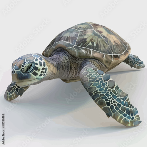 Green sea turtle isolated on white background. 3D render illustration © 宝宝 余