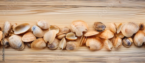 Wooden surface with clams providing a copy space image