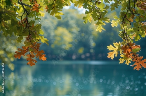 Green Leaves Hanging Over Body of Water