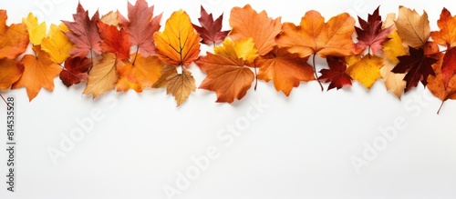 A top down view of a border frame made from vibrant autumn leaves isolated on a white background The image evokes the essence of autumn fall and Thanksgiving while showcasing the beauty of nature Per