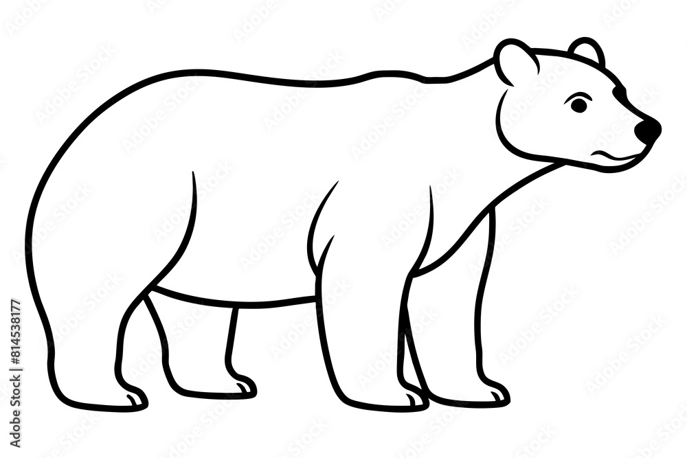  black bear line art vector illustration