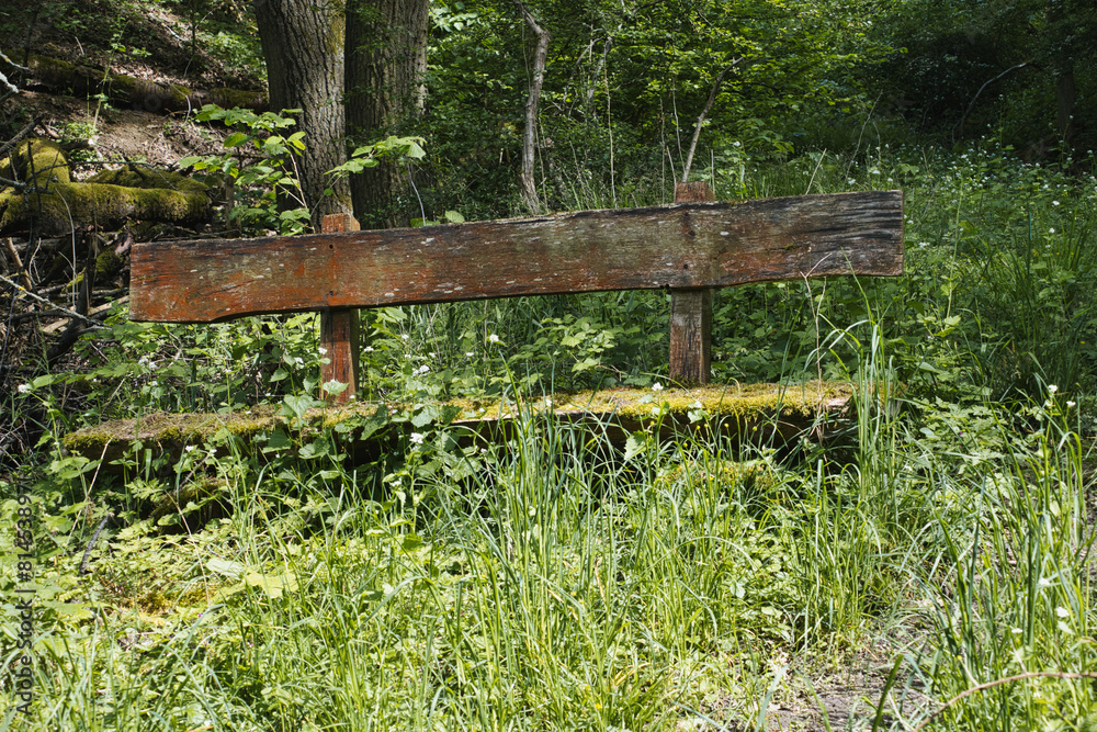 Aged wooden bench amidst trees in a grassy meadow. Aged wooden bench amidst trees in a grassy meadow.