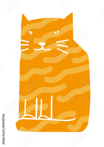 Marmalade cat sitting face on white background