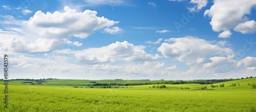 The picturesque scenery of summertime showcases lush green fields a vibrant blue sky adorned with fluffy clouds and ample copy space