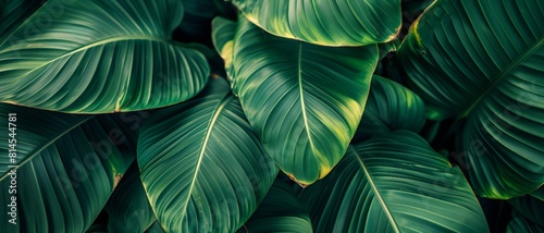 Horizontal rectangle banner mockup surrounded by lush spring leaves, creating a natural and inviting outdoor display.