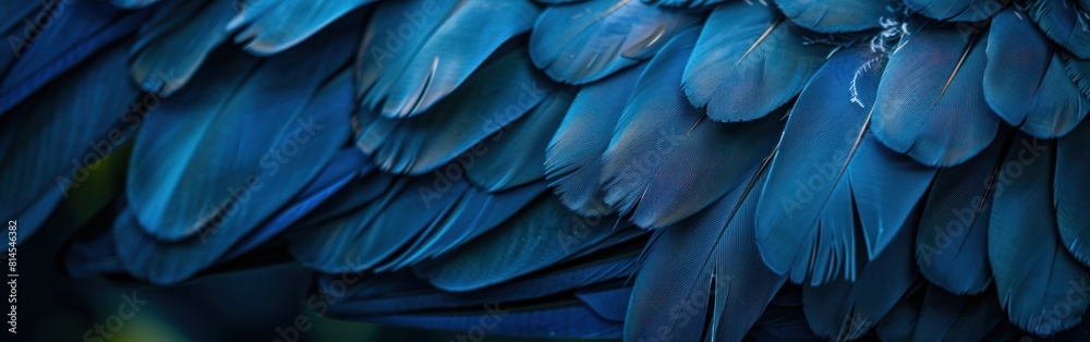 Detailed view of the navy blue feathers of a bird, showcasing the intricate texture and patterns Detailed view of the navy blue feathers of a bird, showcasing the intricate texture and patterns