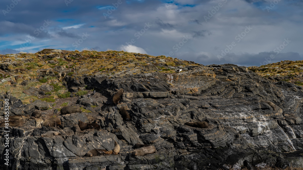 Sea lions and seabirds are resting on the slopes of a rocky island. Sparse grassy vegetation on the cliffs. Clouds in the blue sky. Isla de los lobos. Argentina. Tierra del Fuego Archipelago. Sea lions and seabirds are resting on the slopes of a rocky island. Sparse grassy vegetation on the cliffs. Clouds in the blue sky. Isla de los lobos. Argentina. Tierra del Fuego Archipelago.