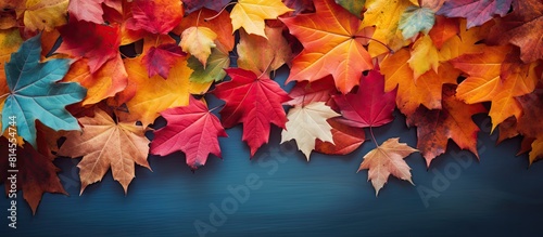 A visually appealing copy space image showcasing vibrant autumn leaves scattered across a colorful backdrop