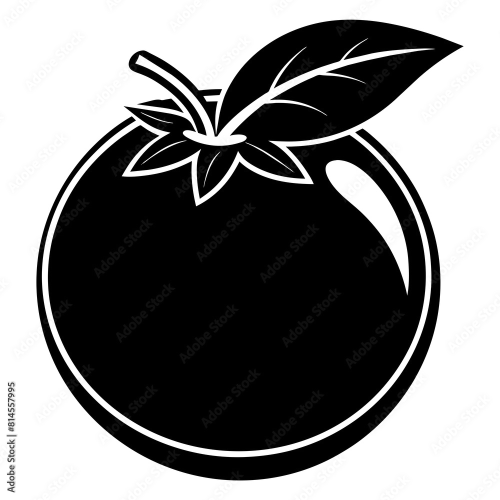 blueberry illustration blueberry illustration