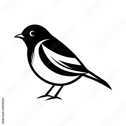 illustration of a robin bird