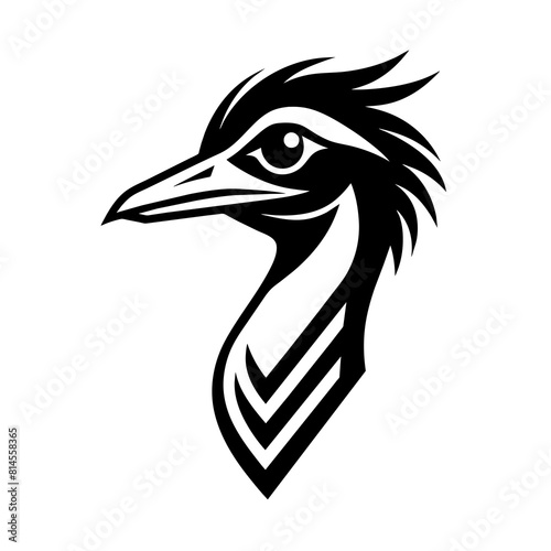 head of a emu bird