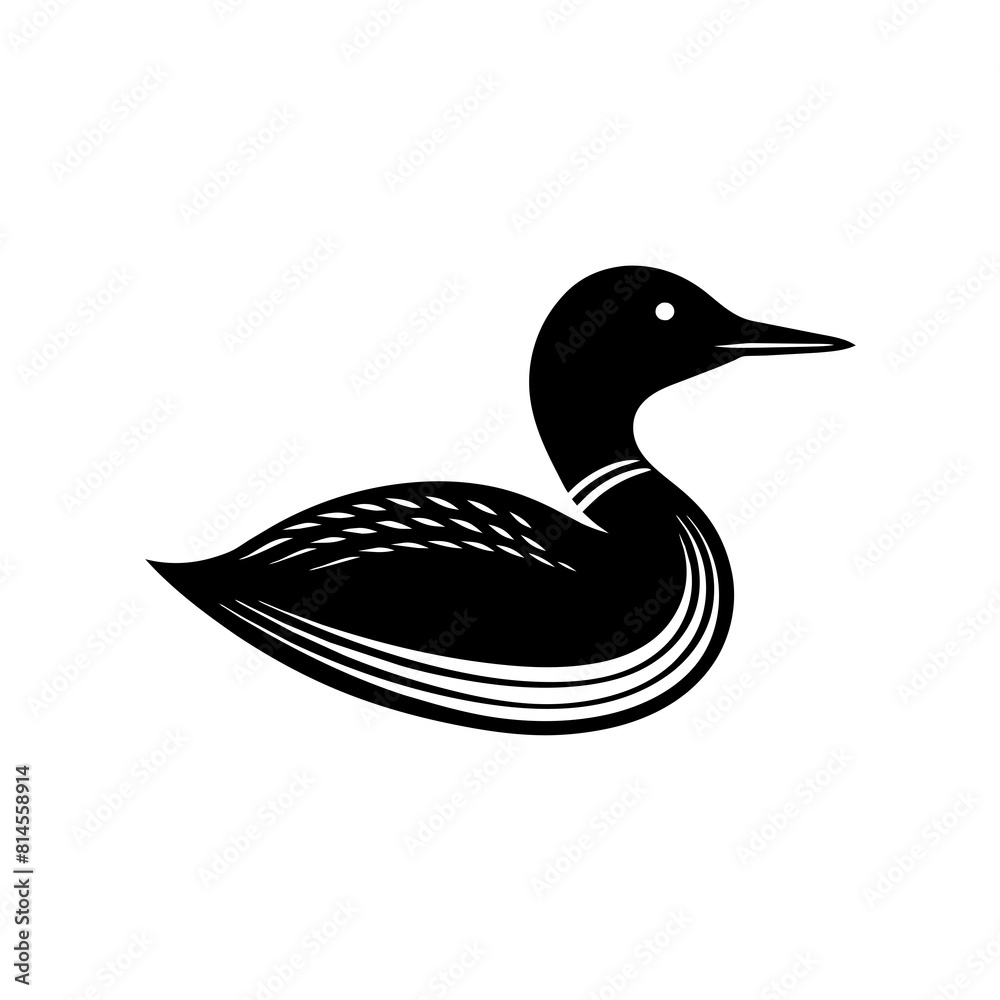 loon bird vector illustration loon bird vector illustration