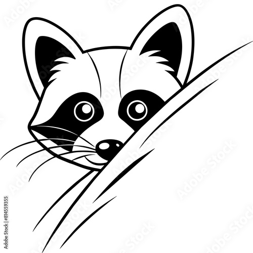 black and white sly raccoon