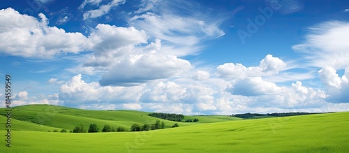 The picturesque scenery of summertime showcases lush green fields a vibrant blue sky adorned with fluffy clouds and ample copy space
