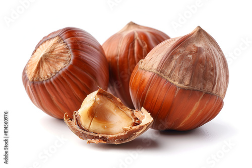 Hazelnut or filbert nut isolated photo