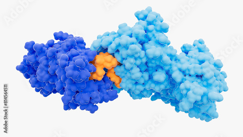 Targeted protein degrader, illustration photo