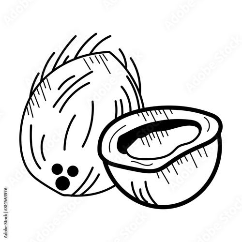 Check this doodle icon of coconut 
