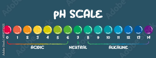 pH value scale chart for acid-alkaline solution. PH scale science design vector illustration. Colorful graph for test. Chart for the Acidic Neutral and Alkaline pH of various liquids and solvent.PH