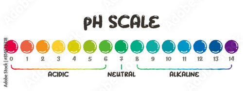 pH value scale chart for acid-alkaline solution. PH scale science design vector illustration. Colorful graph for test. Chart for the Acidic Neutral and Alkaline pH of various liquids and solvent.PH