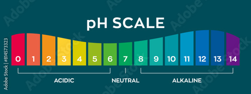 pH value scale chart for acid-alkaline solution. PH scale science design vector illustration. Colorful graph for test. Chart for the Acidic Neutral and Alkaline pH of various liquids and solvent.PH