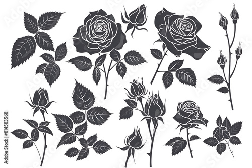 Set of decorative rose with leaves. Flower silhouette. Vector