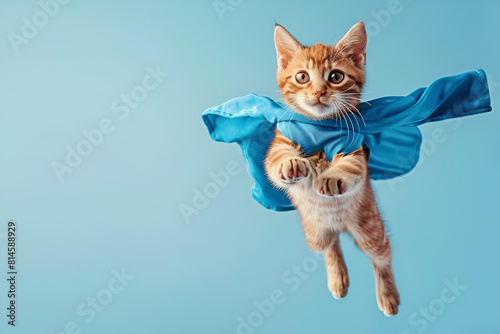 superhero cat, Cute orange tabby kitty with a blue cloak and mask jumping and flying on light blue background with copy space. The concept of a superhero, super cat, leader, funny animal studio shot. © Areesha