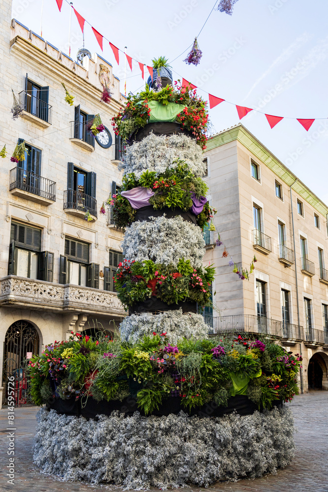 Fototapeta premium Girona, Spain - May 13th, 2024: TEMPS DE FLORS - Flower Time Festival. Floral representation of the human towers in the town hall square
