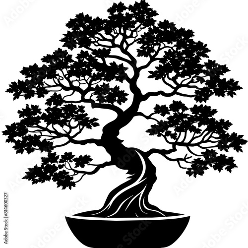 flame tree bonsai silhouette on white background -Vector Illustration
