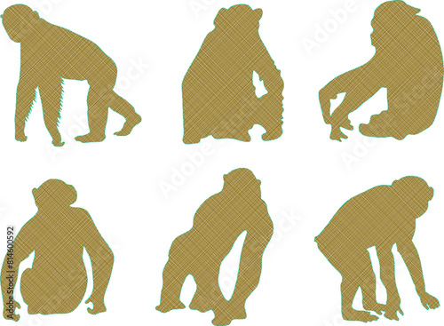 vector illustration sketch design animal drawing primate monkey chimpanzee