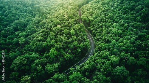 Drone capture of a green forest with a smart road that monitors environmental conditions, enhancing ESG compliance in infrastructure © Seksan