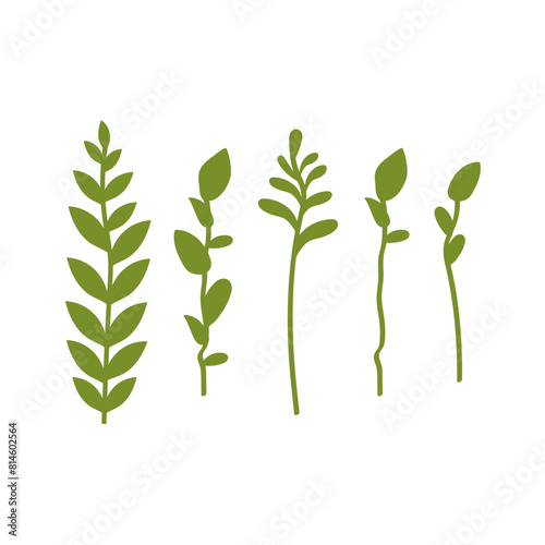 Vector illustration of a white background with multiple branches