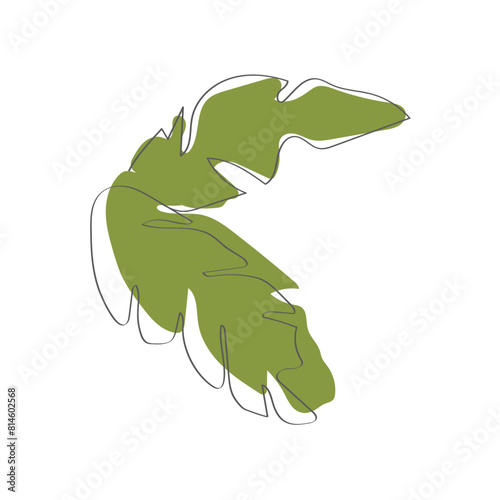 Vector of a green leaf against a pristine white backdrop