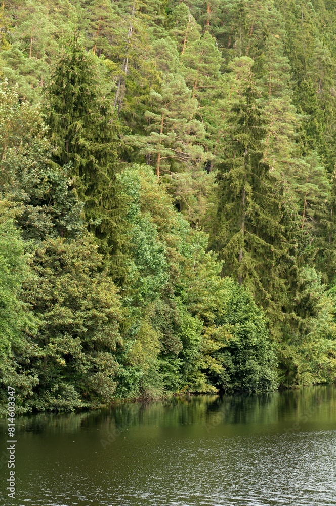 Riverfront with forest, in the Thuringian Slate Hills, Germany Riverfront with forest, in the Thuringian Slate Hills, Germany
