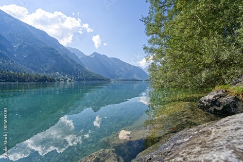 the trees are green and on the shore of the lake photo