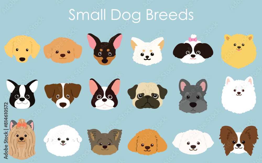 Obraz premium Simple and adorable small dog breeds faces illustration set