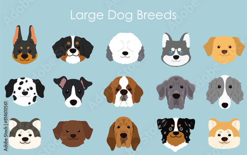 Simple and adorable large dog breeds faces illustration set