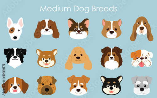 Simple and adorable medium dog breeds faces illustration set