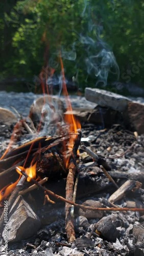 campfire in the forest