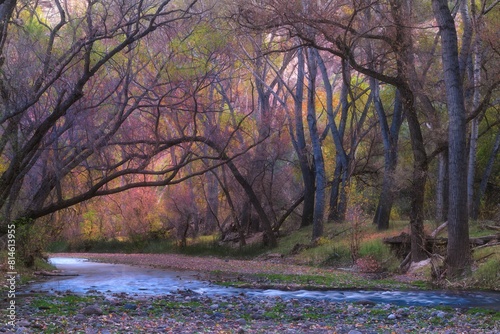 Idyllic landscape with trees adorned with vibrant autumn foliage in Aravaipa Canyon photo