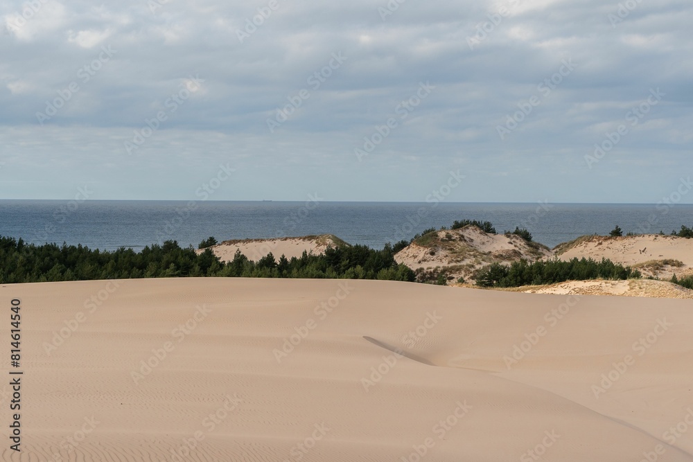 Vast sandy area framed with a line of green trees and sea in the distance Vast sandy area framed with a line of green trees and sea in the distance