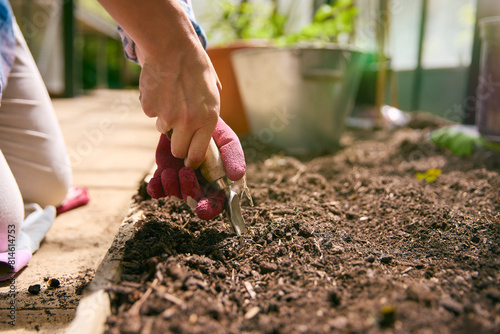 Close Up Of Woman Gardening In Greenhouse Preparing Soil For Planting Seeds