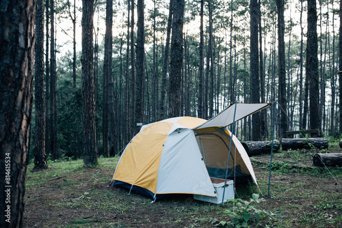 Relaxing in the peaceful outdoors, surrounded by tall pine trees and the soothing sounds of nature, at a serene camping site. © Akira Kaelyn