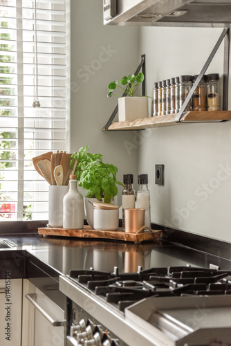 Modern Kitchen Countertop with Utensils and Plants photo