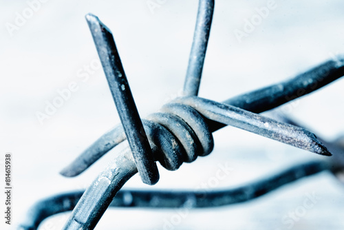Close up barbed wire against white background. Conceptual image of violence, totalitarian regime, dictatorship, total controls the peoples. Selective focus.