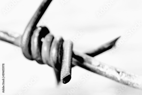 Close up barbed wire against white background. Conceptual image of violence, totalitarian regime, dictatorship, total controls the peoples. Black and whitte image.