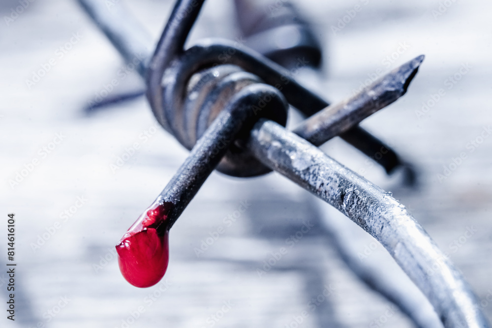 Φωτογραφία Drop of blood on barbed wire as symbol of violence, totalitarian regime, dictatorship, total controls the peoples