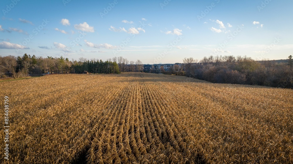 New Home Builds, Harmony in Contrast: Urban Progress Meets Rural Roots, urban sprawl or progress New Home Builds, Harmony in Contrast: Urban Progress Meets Rural Roots, urban sprawl or progress