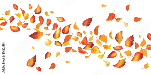 simple vector illustration of autumn leaves falling in a line on a white background photo