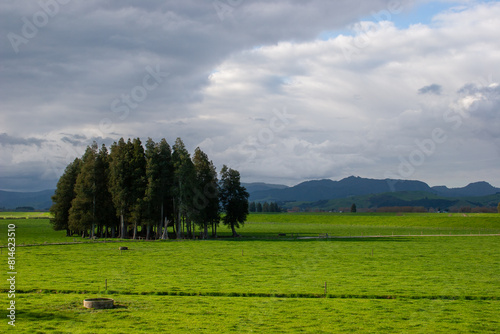 landscape with trees