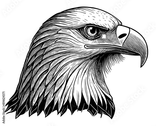 Aigle, profil, icone, dessin vectoriel, noir et blanc, gravure ancienne, fond blanc